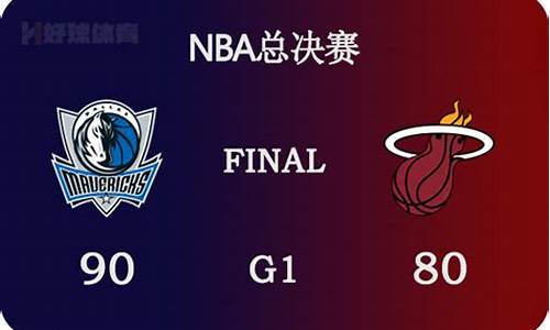 2006年nba总决赛6_2006年NBA总决赛冠军